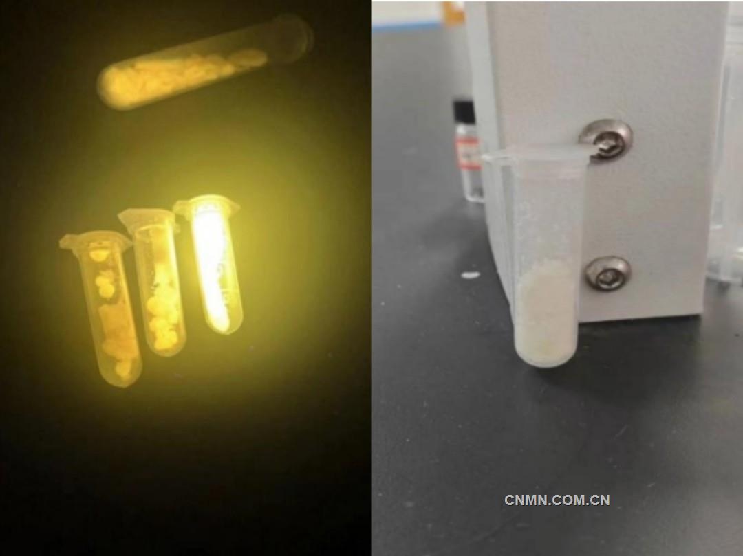 江西理工大學(xué)研發(fā)出高性能銻基鈣鈦礦發(fā)光材料